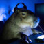 Capybara Gaming