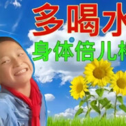 小吴不爱吃冬瓜