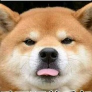 我与发牌员不共戴天