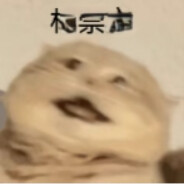 月半猫不吃华莱士