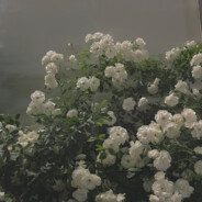 黑暗中的我们都没有说