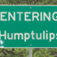 Humptulips