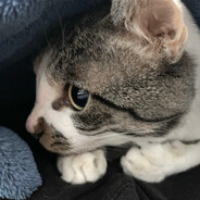 谭QQ