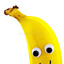 bananajammer09