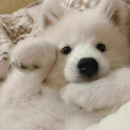 帮倒忙也是帮忙