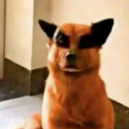 狗熊岭第二狙神