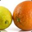 orange and lemons