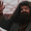 Rubeus Hagrid