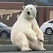 说再见了吗你就走