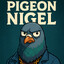 Pigeon Nigel