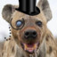 Uncle Hyena