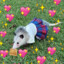 femboy possum