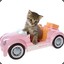 TheCatMobile
