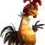 chicken joe