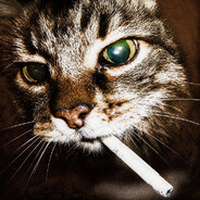 МойКотЛюбитРэп