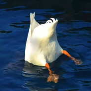 新火试新茶 诗酒趁年华