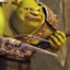 Sliski Gargulec