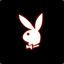 Rabbit_Robbi