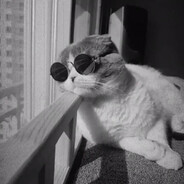 ----下等马分界线----