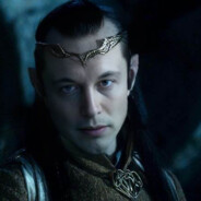 Elrond Musk