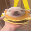 pibble