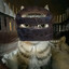 Mogwai#RustApocalypse