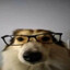 tommyie's avatar