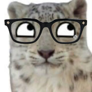 snepki