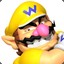 warioandwaluigi