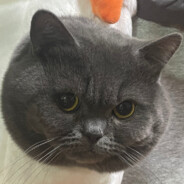 Big Avatar