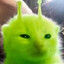 ChloeGlorp