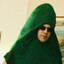 the man in the pickle suit