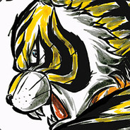 SUPER LIGER TIGER - steam id 76561197961435692