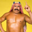 The Iron Sheik