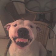 GanjaGanjasFmF < e.gurel >