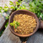 Fenugreek