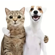 ハスカーによって死ん