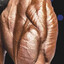 jay cutlers left quad