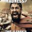 Madness