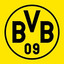 GrIFoN BVB