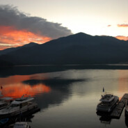 宇宙无敌抱抱龙