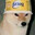 shiba's Avatar