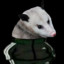 Avatar of Awesome Opossum