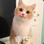 橘栀