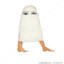 Medjed