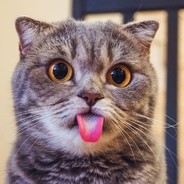 ЗЕЛЕПОПКА  (нубик)