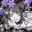 OpeOpe's Avatar