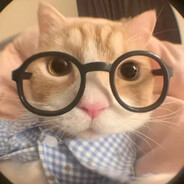 AAAA帕拉迪岛地鸣哥