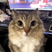 shurick - steam id 76561197971493132
