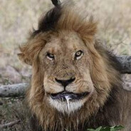 смерть в нищите